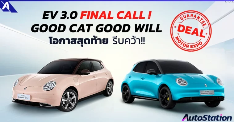 GWM ORA Good Cat Protect Customer Keep Brand Value
